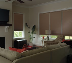 Levolor: 9/16 Inch Blackout Cellular Shades